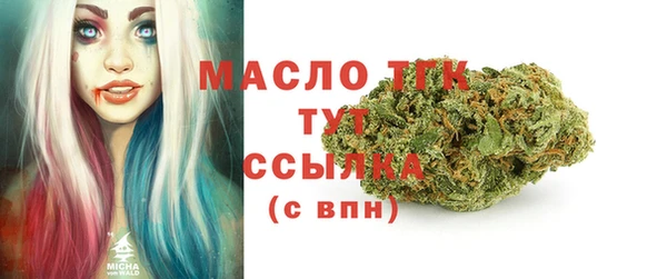 mix Бородино