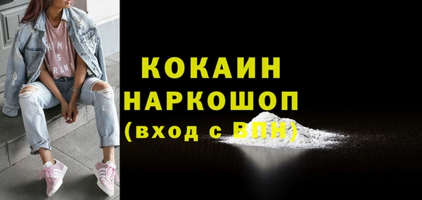 mix Бородино
