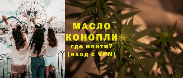 mix Бородино