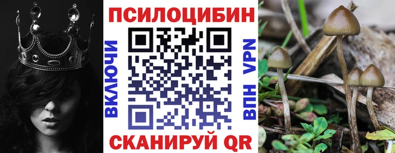 Галлюциногенные грибы Psilocybine cubensis Медногорск