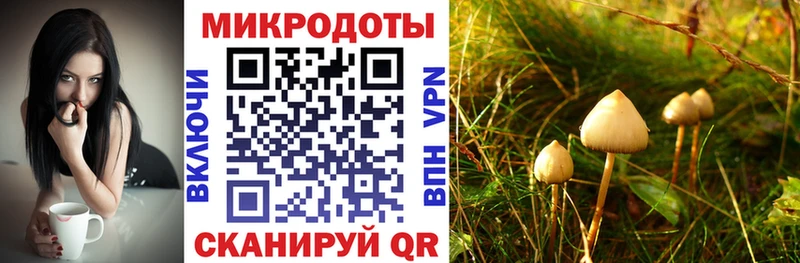 Псилоцибиновые грибы MAGIC MUSHROOMS  Медногорск 